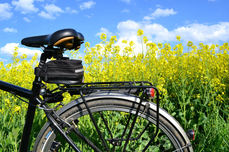 Nach acht Jahren zuletzt wieder mehr Fahrraddiebstähle