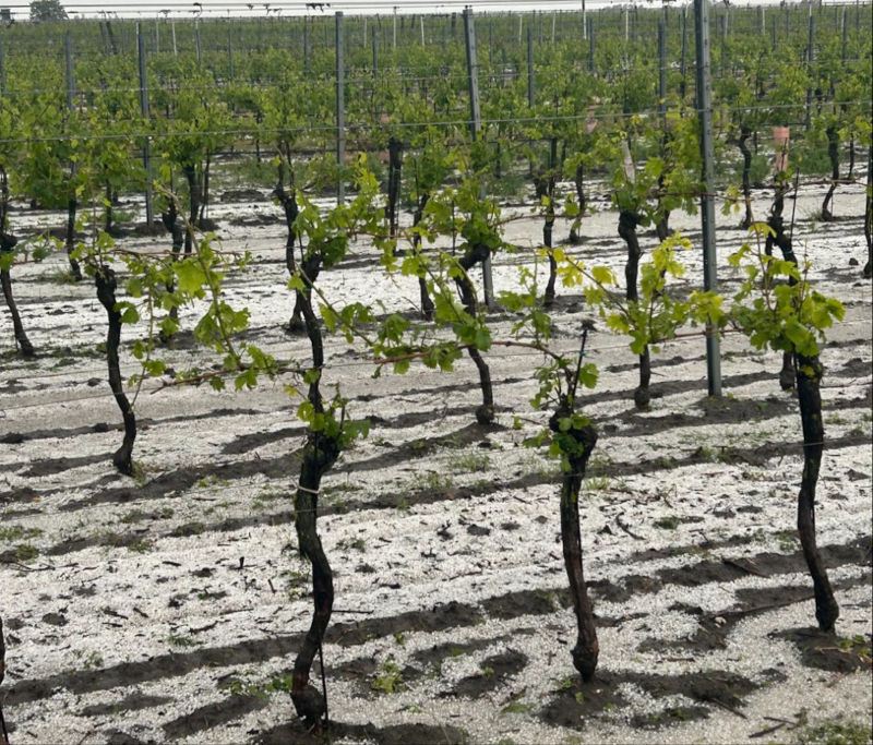 Millionenschaden nach erstem schweren Hagel 2024